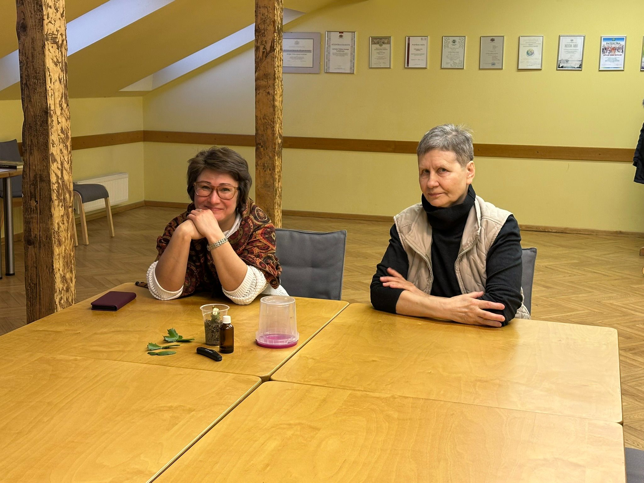 Skaists kaktuss kolekcijā