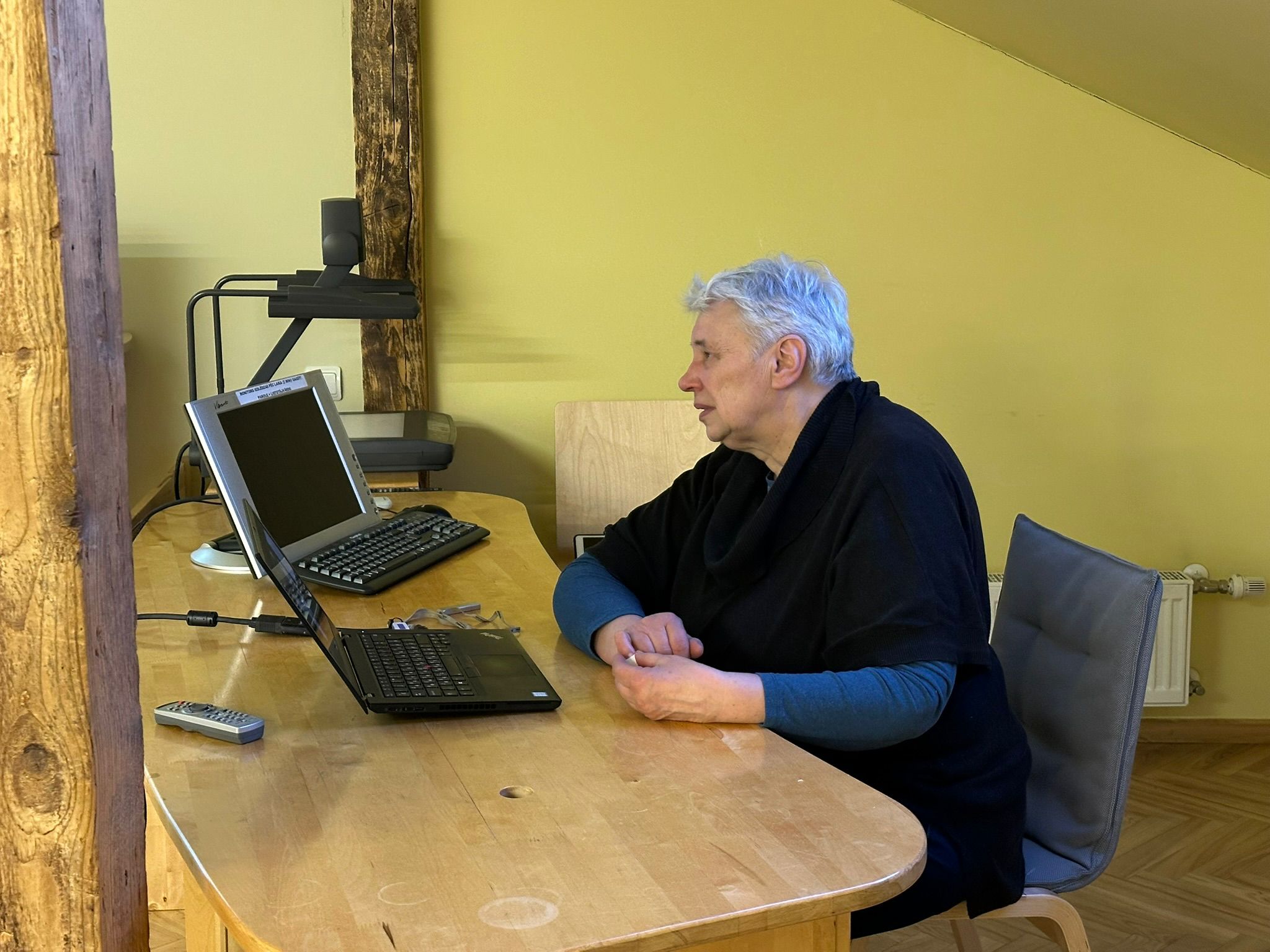 Skaists kaktuss kolekcijā