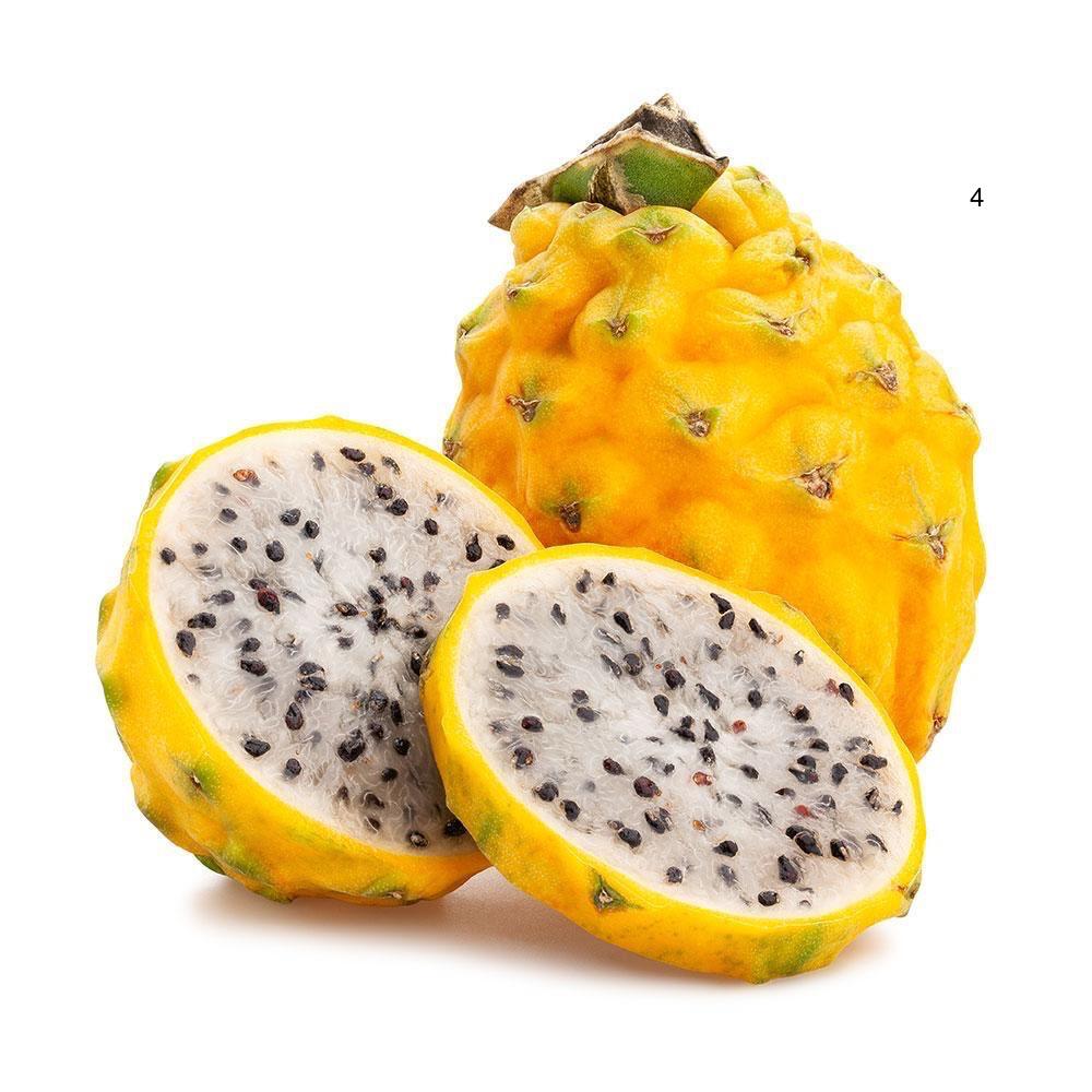 ēdams kaktuss